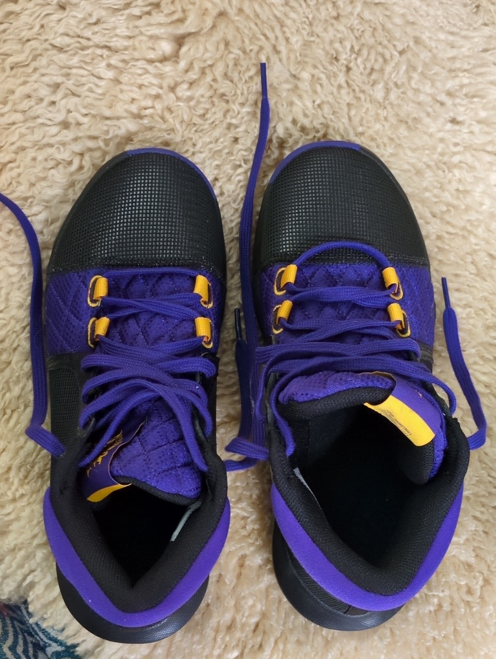 Nike LeBron Witness 8 Lakers Basketball Shoes Men’s 8.5 Black Purple Gold